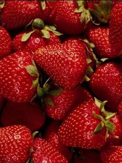 Other Wallpapers 0376